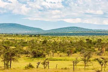 Expansive landscape of Laikipia plateau, Kenya.