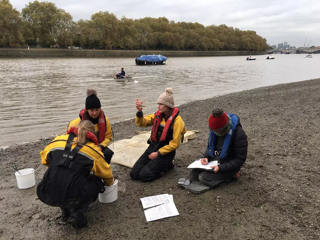 Fish Conservation In The Tidal Thames Zsl