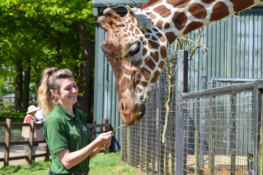How to become a Zookeeper | ZSL