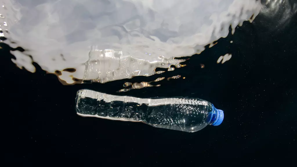 ZSL joins the United Nations Treaty negotiations to end plastic pollution