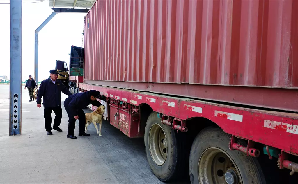 International wildlife trade border detector dog searching a lorry with two men.