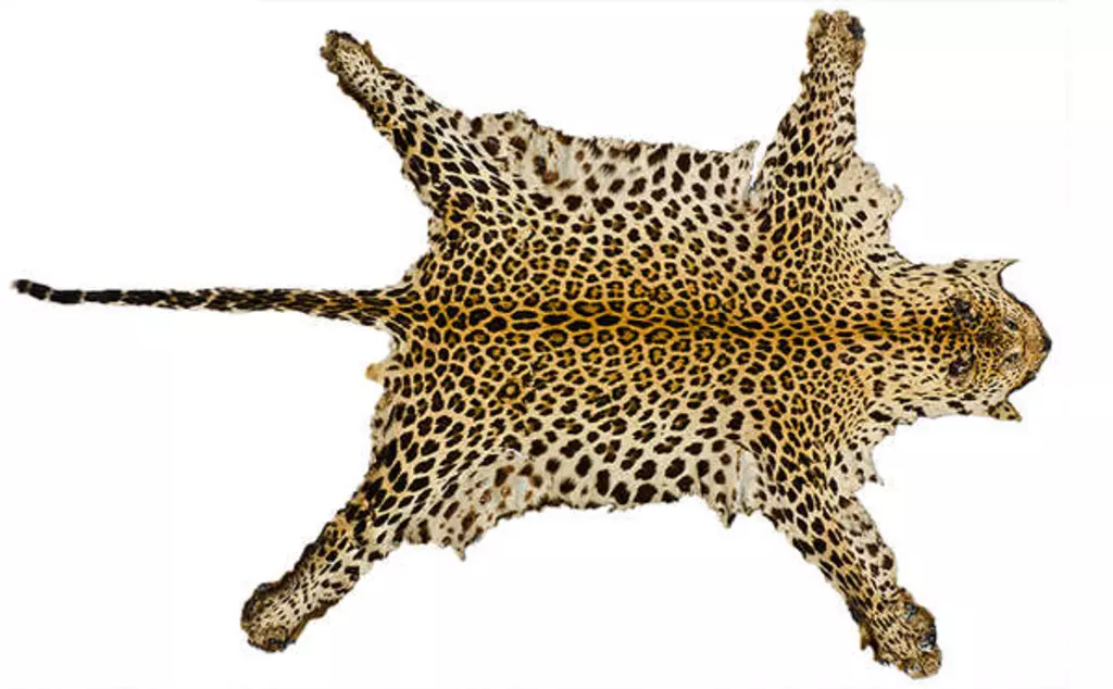 Leopard skin rug