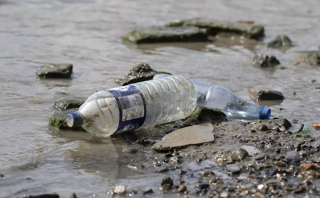 A plastic bottle washed up on a beach