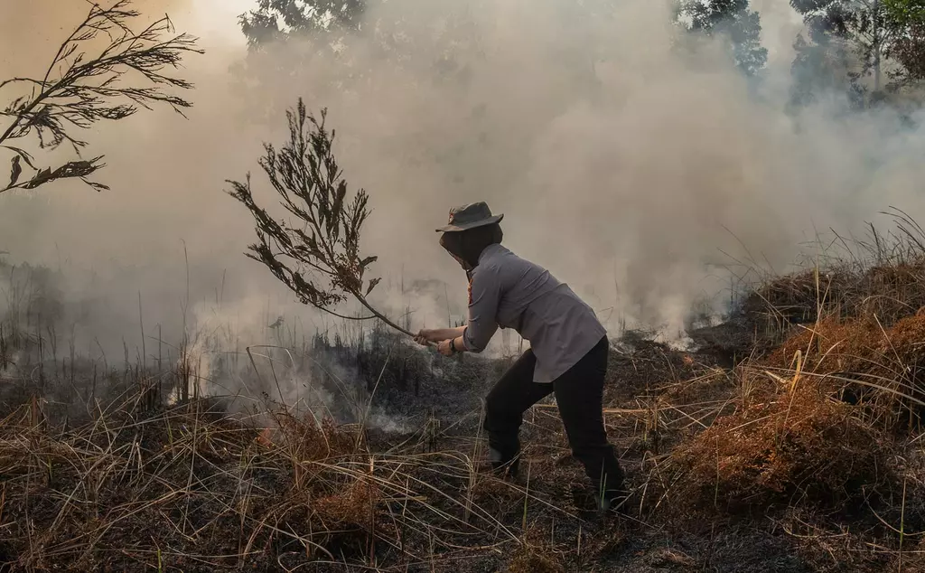 Man with branch putting out grassland fire