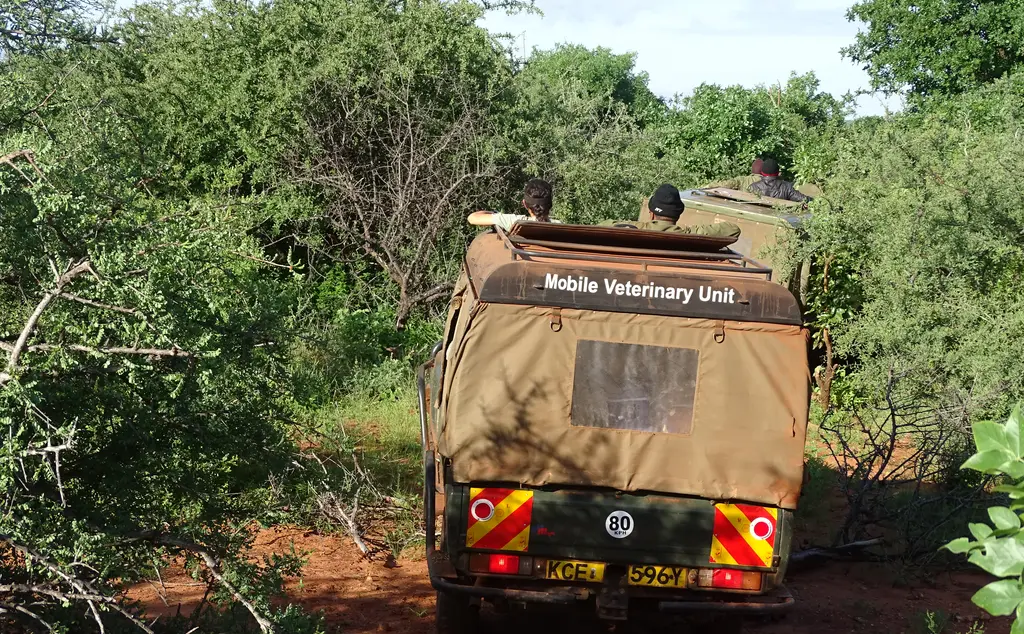 A convoy carries the team of vets to the rhino