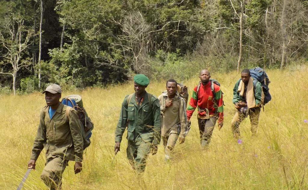 Anti-poaching patrol on outskirts of forest in Dja Cameroon using SMART tech