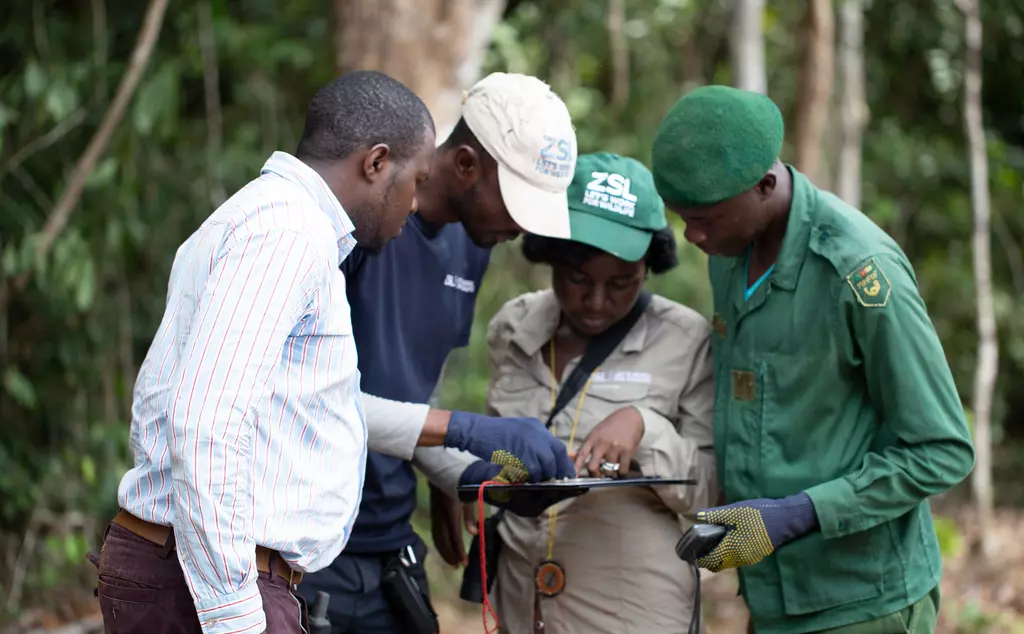 ZSL guard training in Cameroon Dja faunal reserve, one ZSL conservationist is looking over a clipboard with three others in a forest 