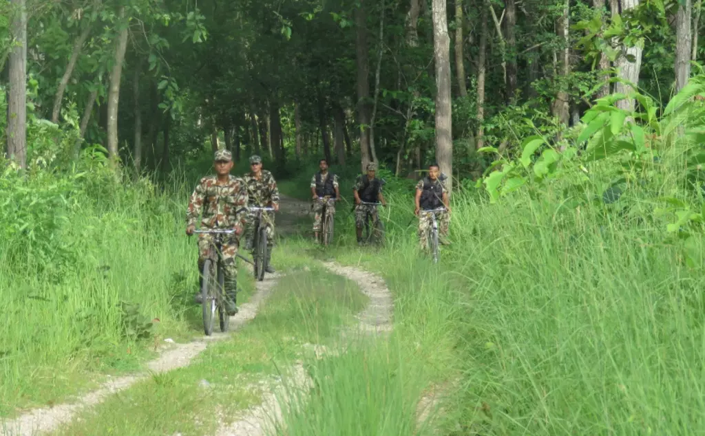 Conservationists surveying forest with SMART tool
