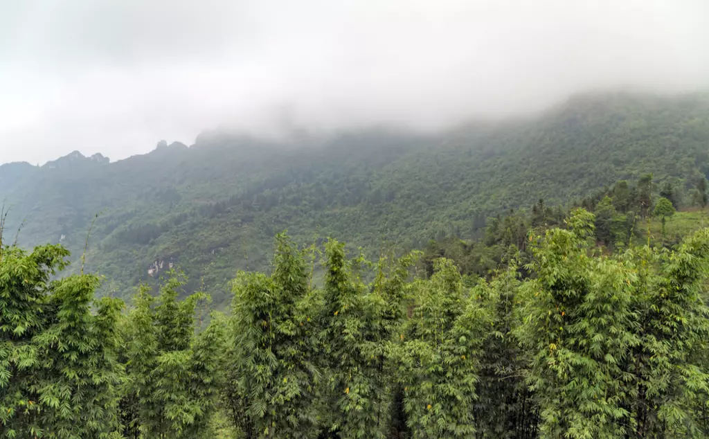 Mountain silhouettes mist over the Hoang Lien National Park, Lao cai province northern Vietnam mountain range.