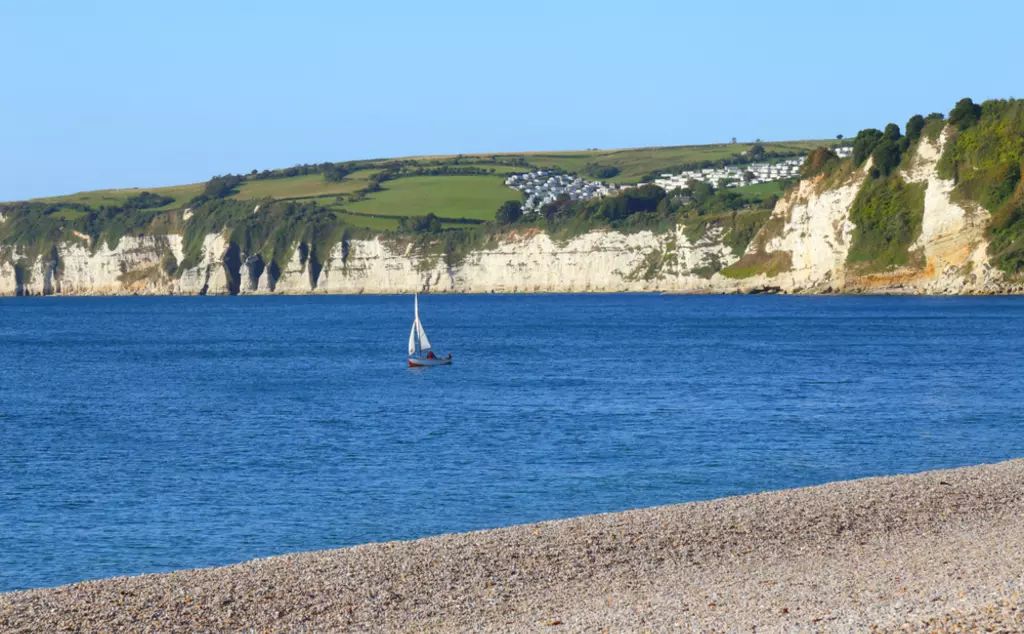 Lyme Bay, where a third smalltooth sand tiger shark was stranded. There is a stony beach in the foreground, the sea, and white cliffs in the background