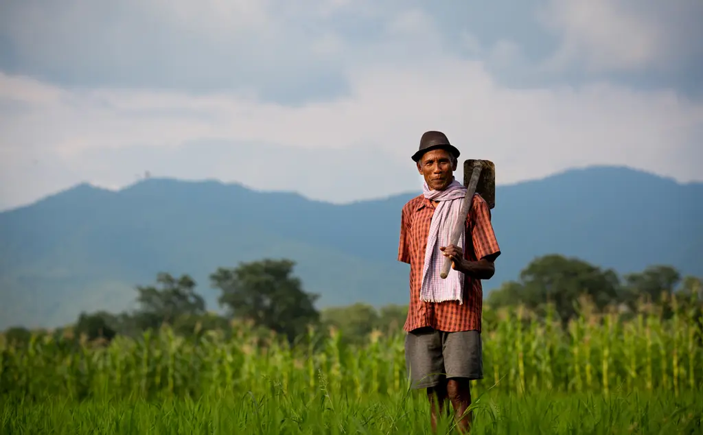 Farmer in Nepal standing in field