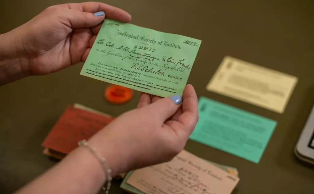 Woman's hand holding a green paper ticket for London zoo from 1877