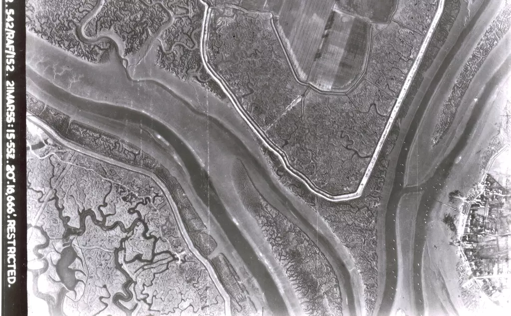 Black and white image showing a saltmarsh habitat with some agricultural land beginning to creep in