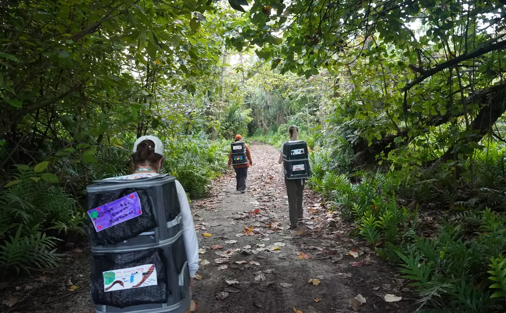 Sihek being transported to their new aviary in Palmyra Atoll