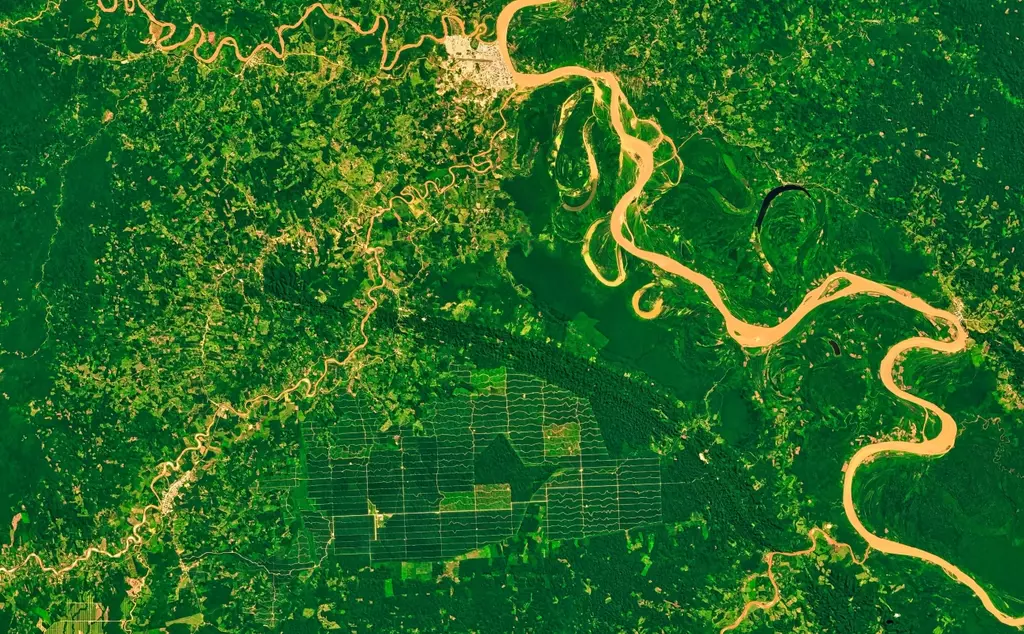 Monitoring deforestation in the Amazon rainforest