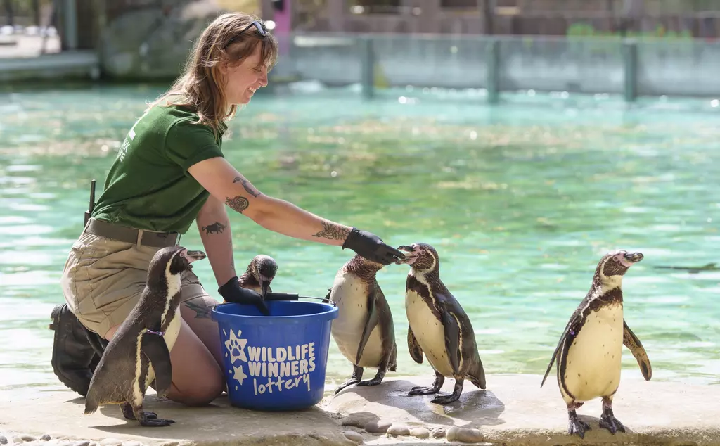 ZSL's Wildlife Winners Weekly Lottery