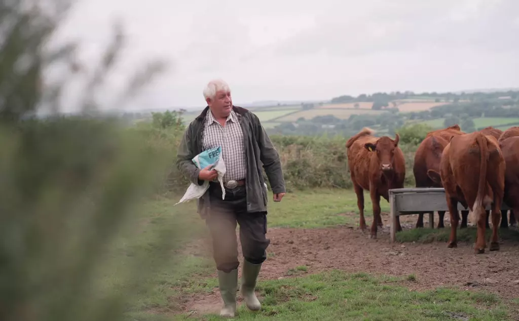Farmer Martin Howlett with his cattle