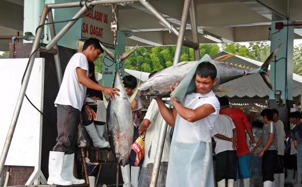 A man carrying big tuna fish