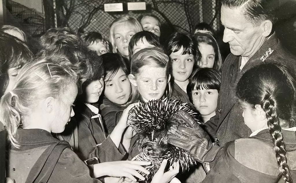 A group of children crowding around a porcupine