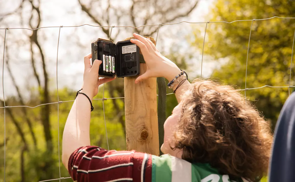 A student placing a camera trap on the fence