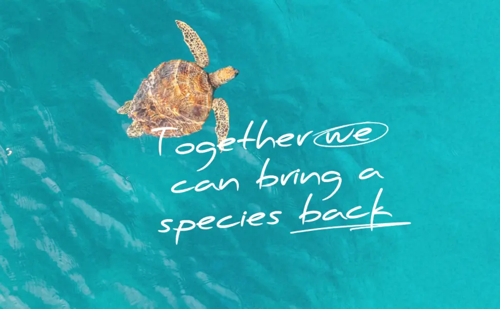 Together we can bring a species back