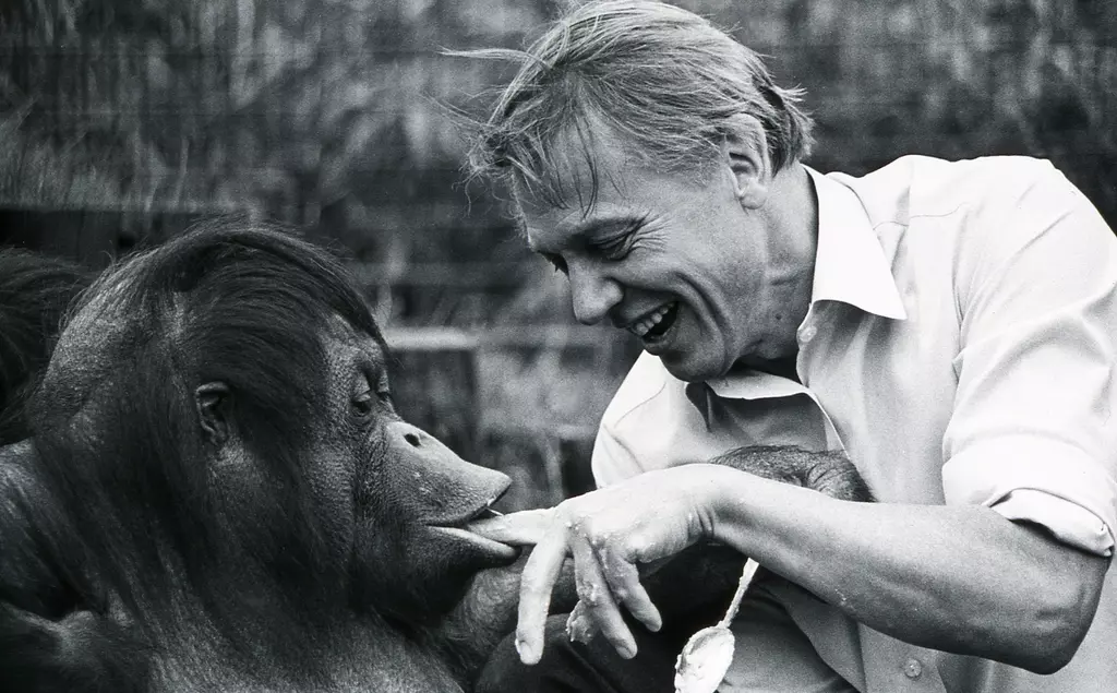 A black and white photograph of David Attenborough and Bulu the orangutan