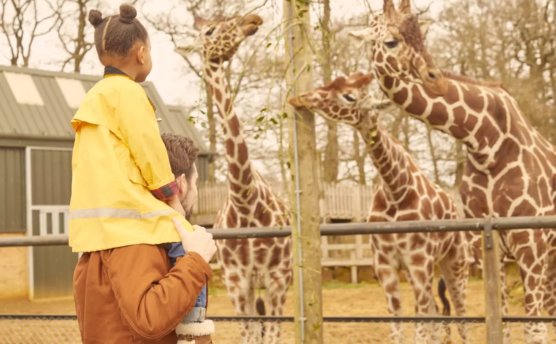 Our Conservation Zoos | ZSL