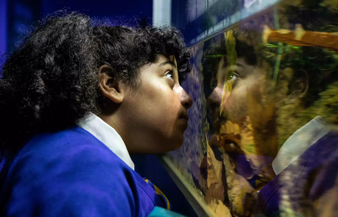 Child looking into tank at Whipsnade Zoo Schools Learning Programme