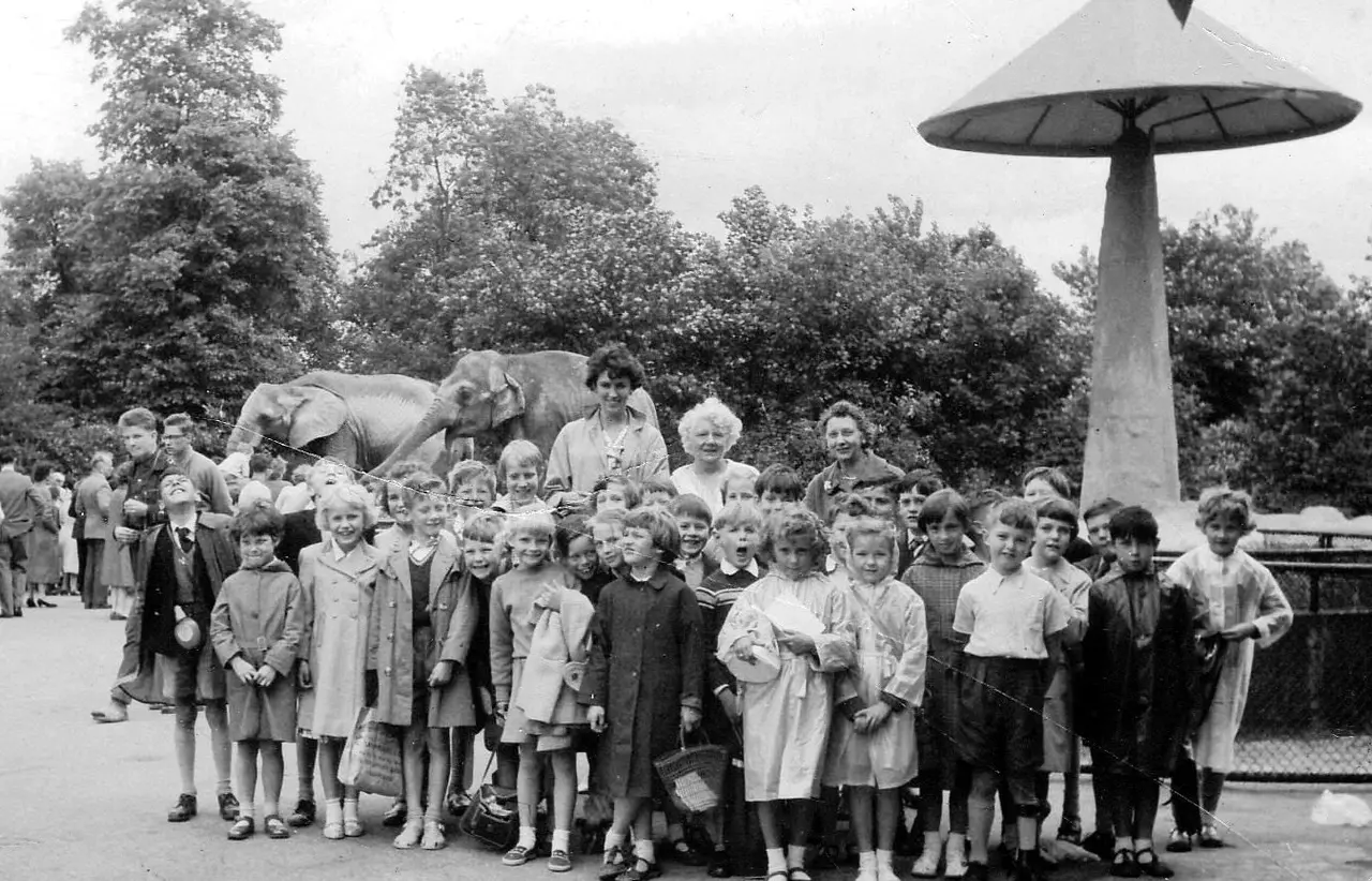 A black and white photograph of a group of school children standing in front of elephants