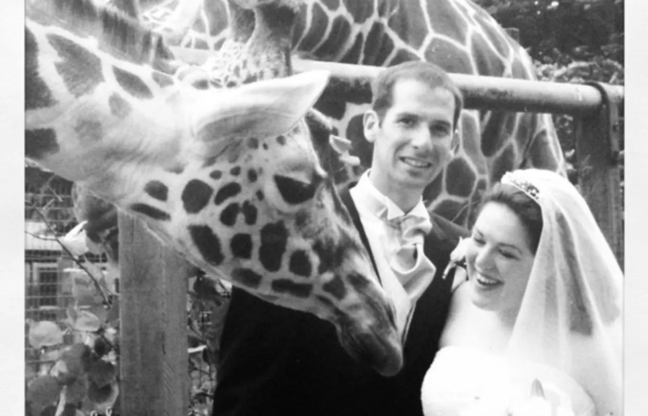 A husband and wife on their wedding day next to a giraffe