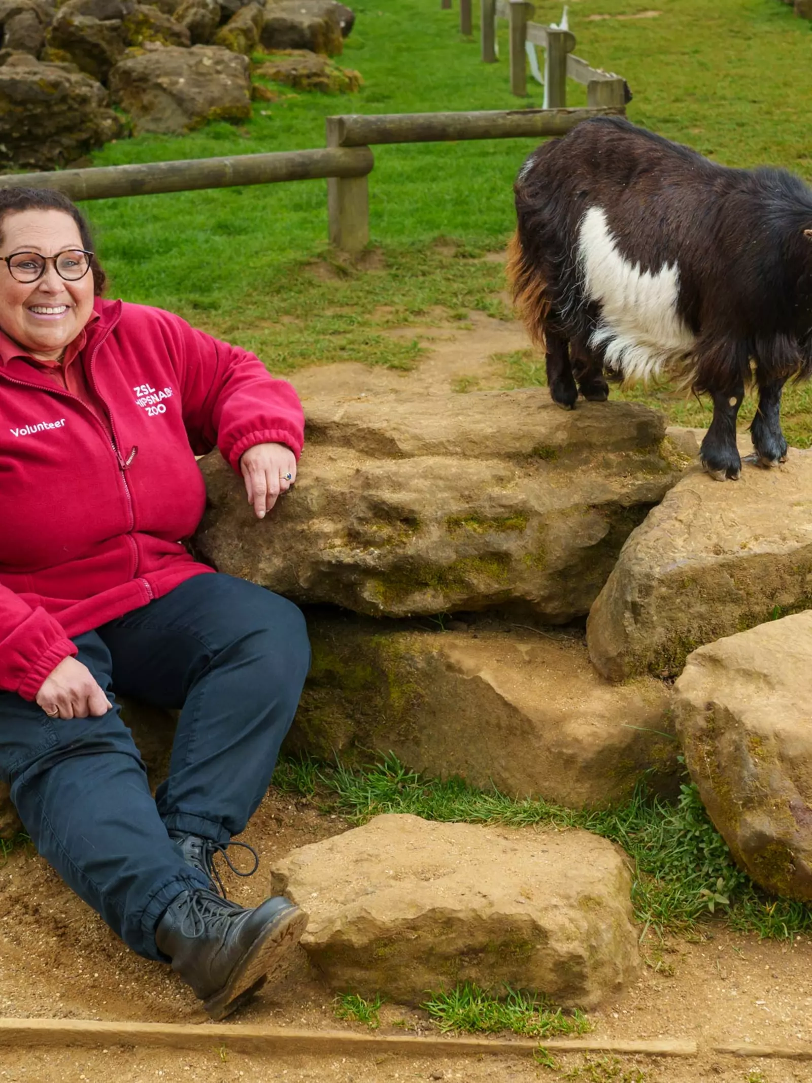 Volunteer at Whipsnade Zoo with goat