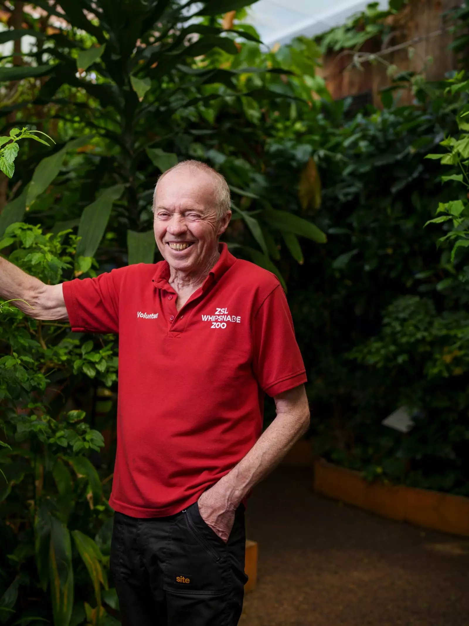 Rob Jones Whipsnade Zoo volunteer at our aquarium rainforest