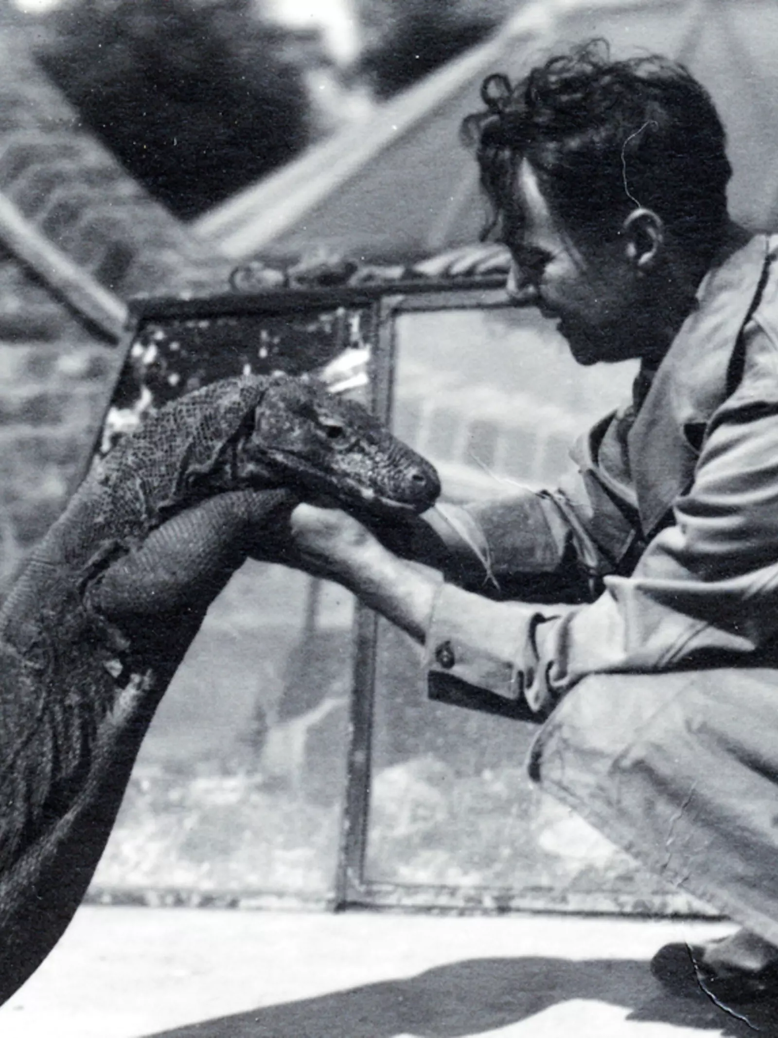 Black and white photo of a London zoo keeper with a Komodo dragon