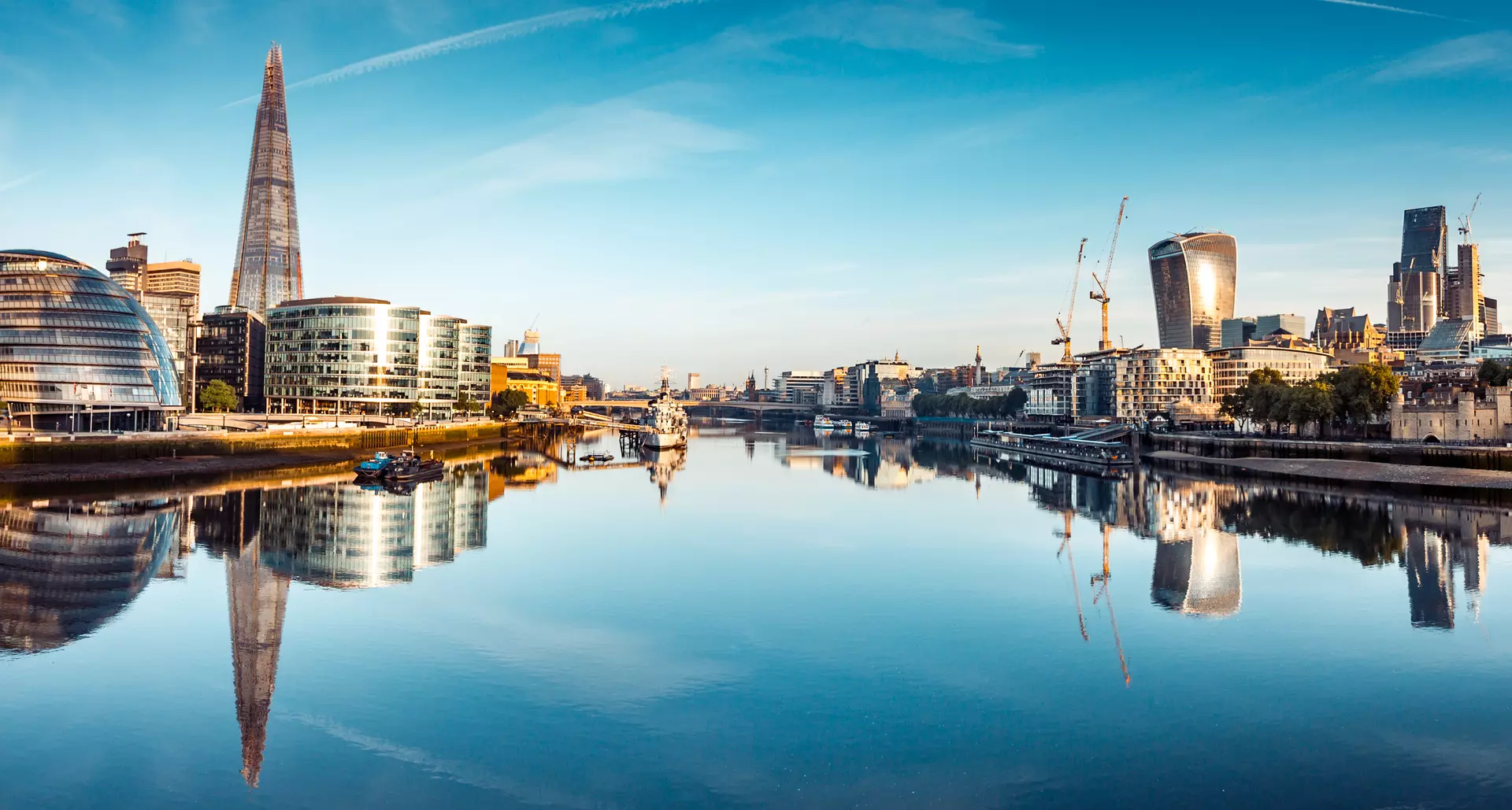 Animals in the Thames | ZSL Animals in the Thames | ZSL