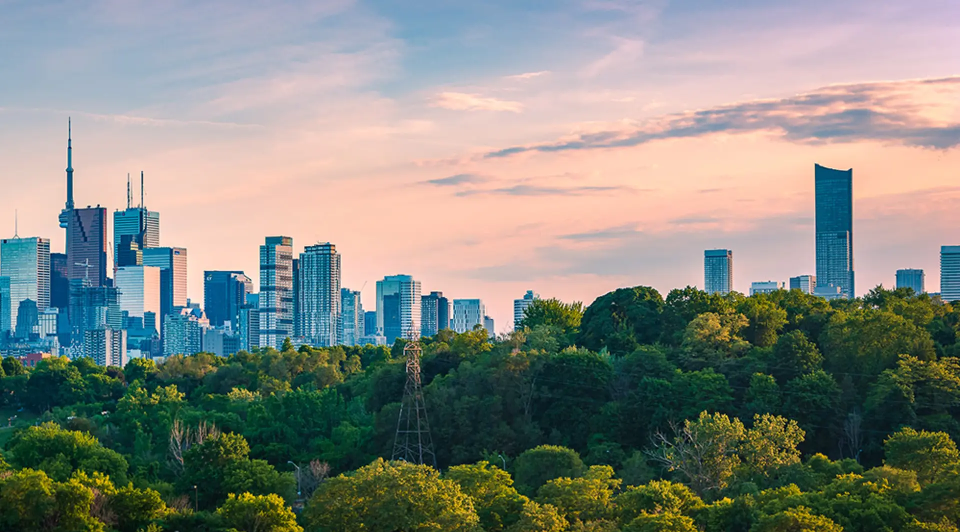 Forest with skyscrapers in background