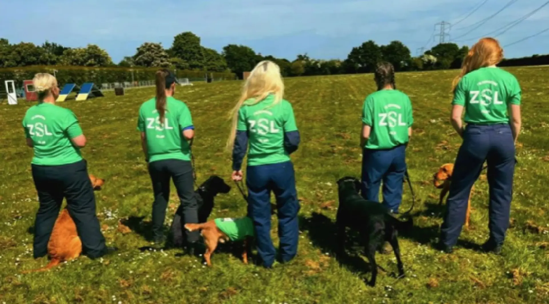 Dog walkers with their ZSL t-shirts