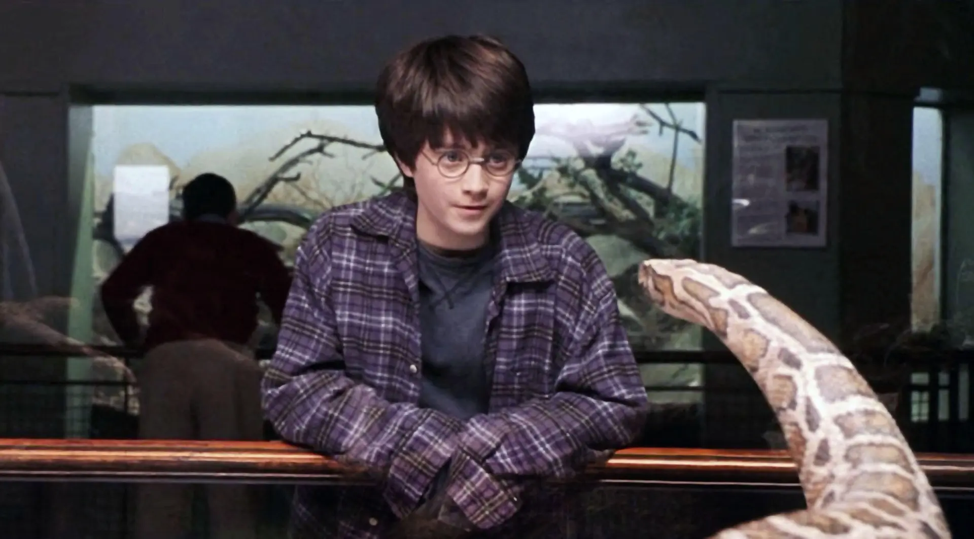 Harry Potter and the Philosopher's Stone