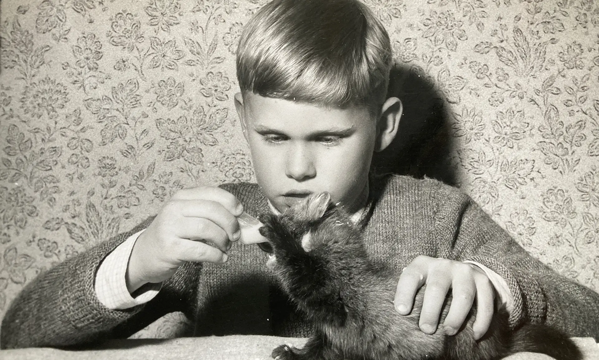 ZSL Oral Archive - David Styles