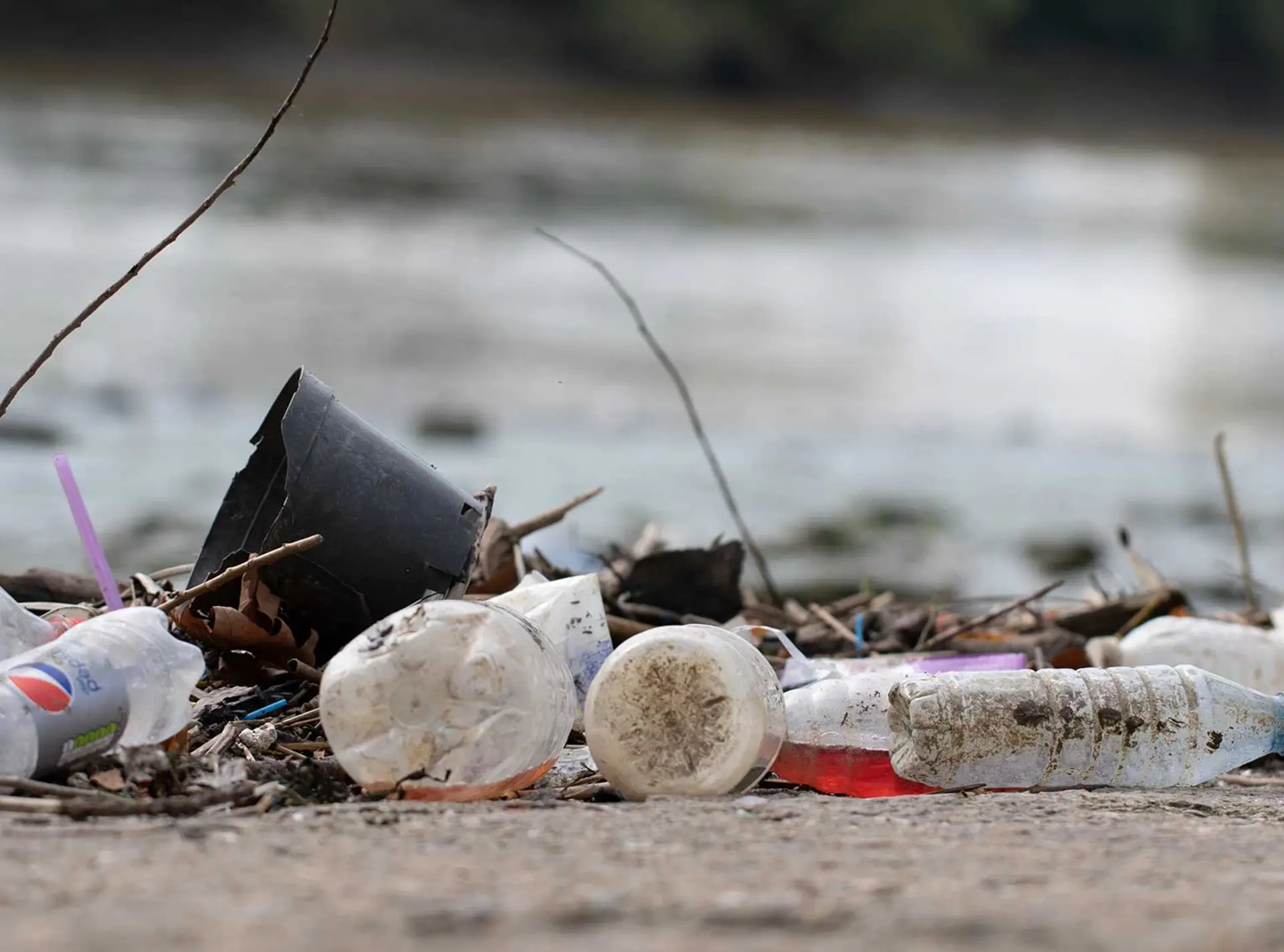 Old plastic bottles on a beach
