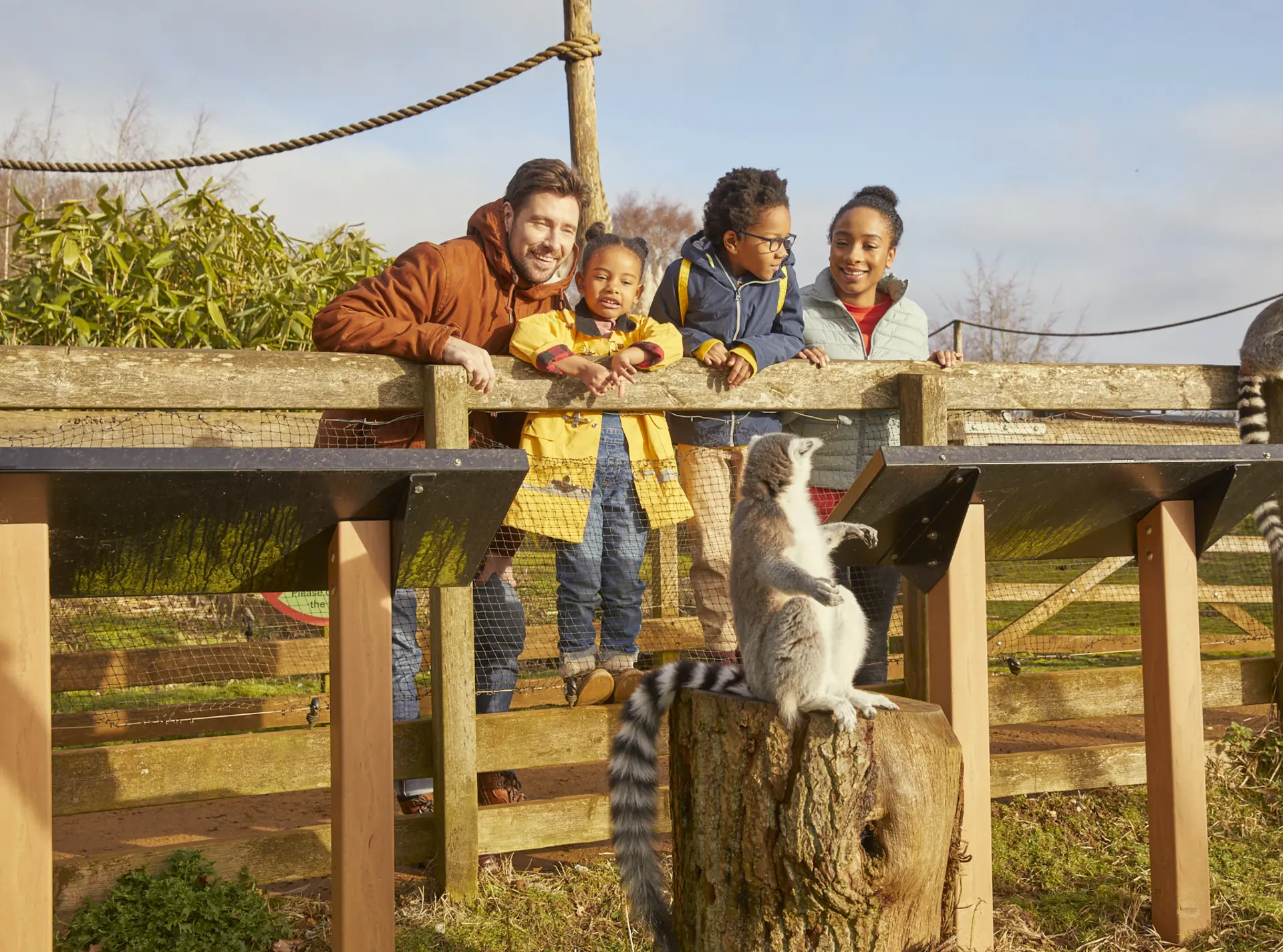 Family at Whipsnade Zoo observing two lemurs