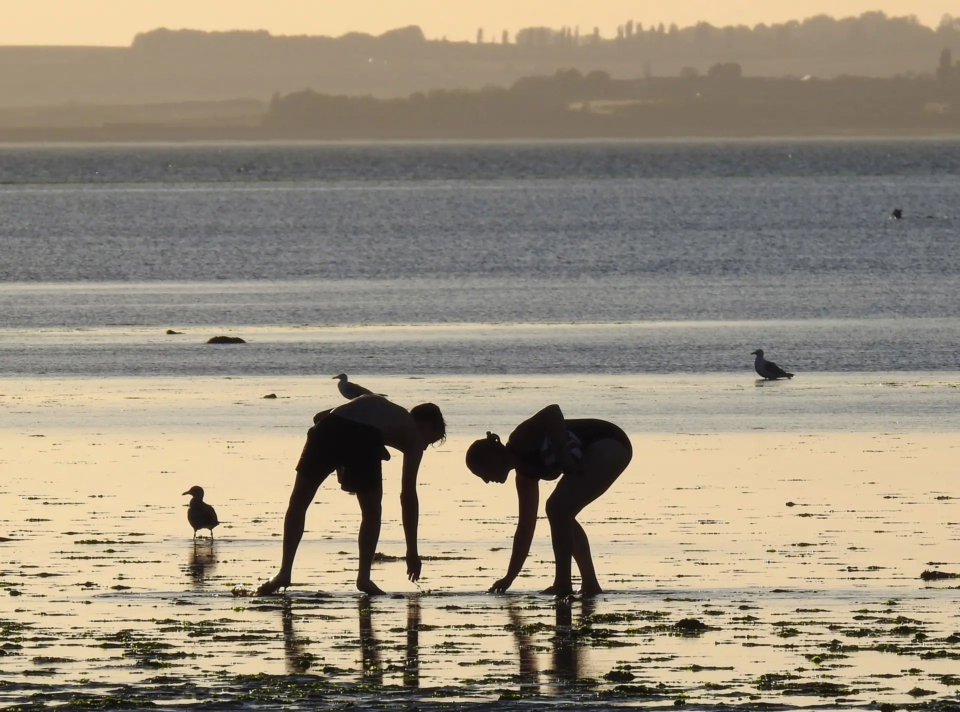 thames lens picking