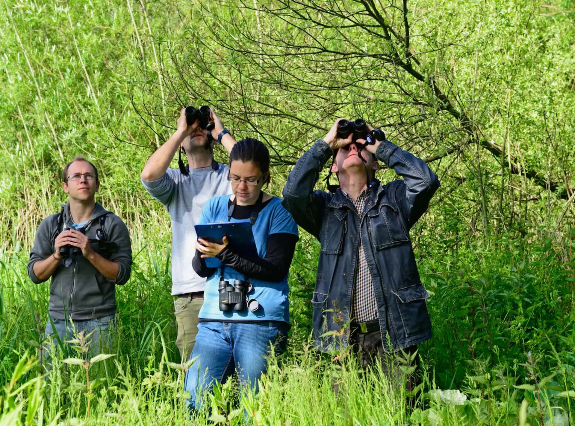 Birdwatchers taking part in Citizen Science