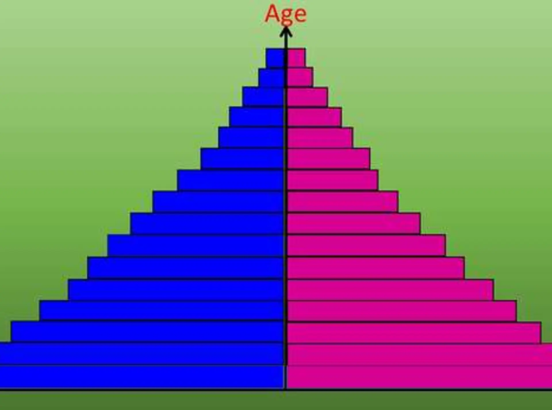 AgeStructure software programme promotional image