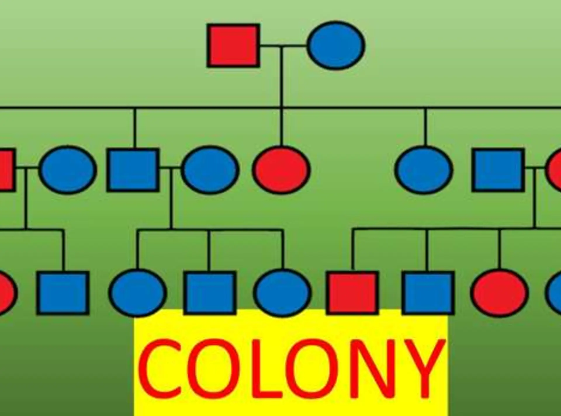 COLONY software screenshot