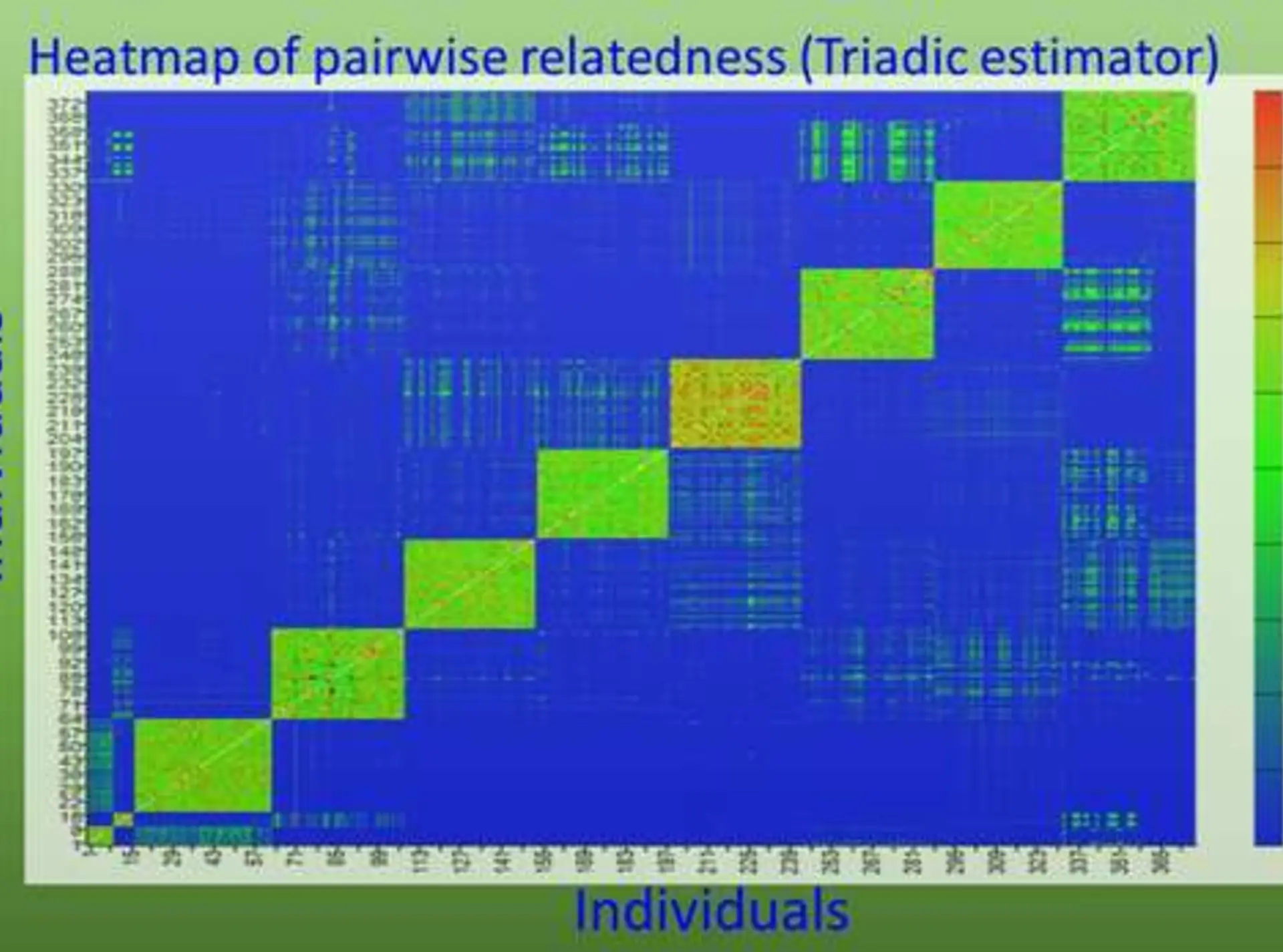 COANCESTRY software screenshot
