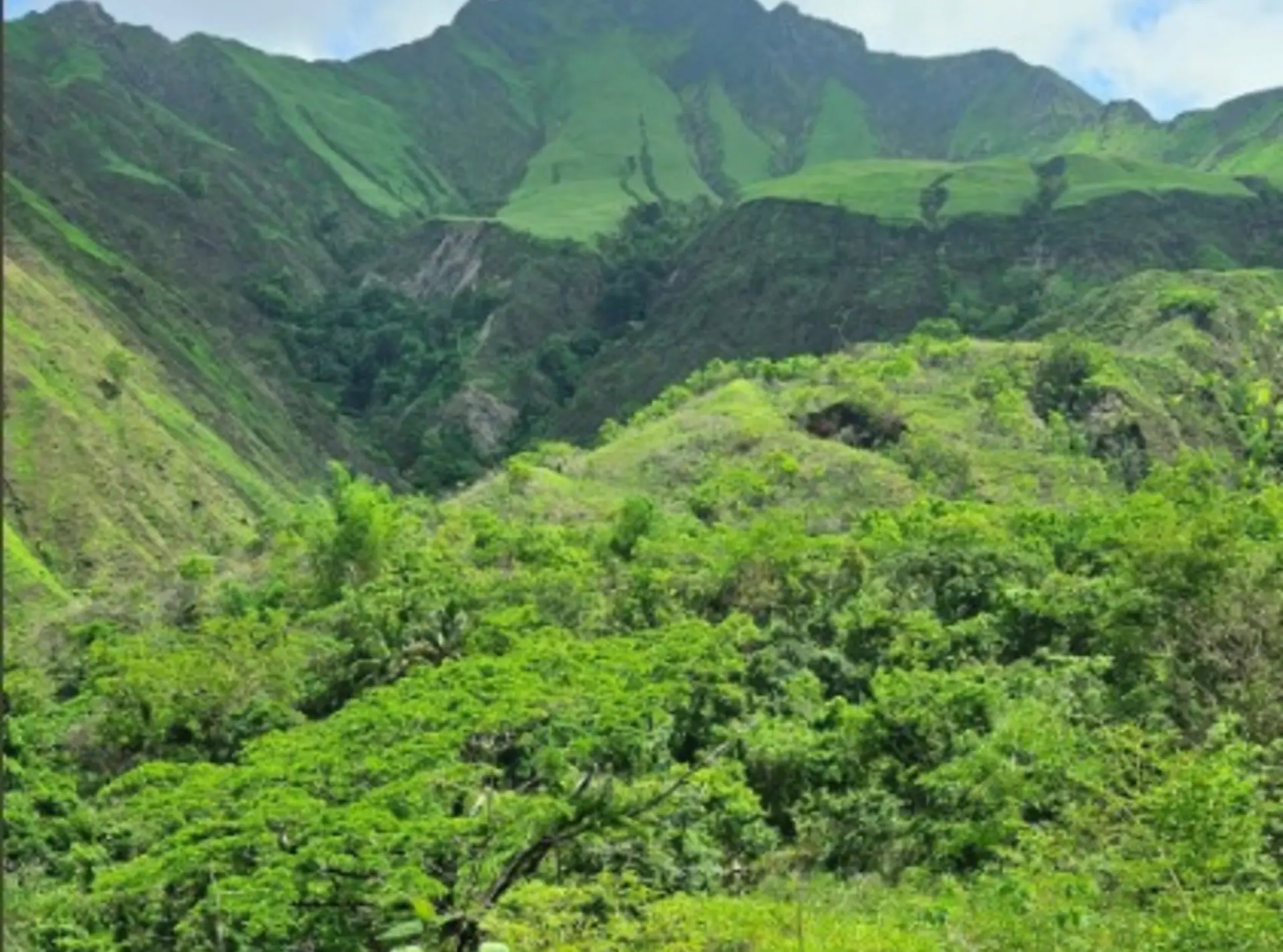 View of the landscape on Mindoro