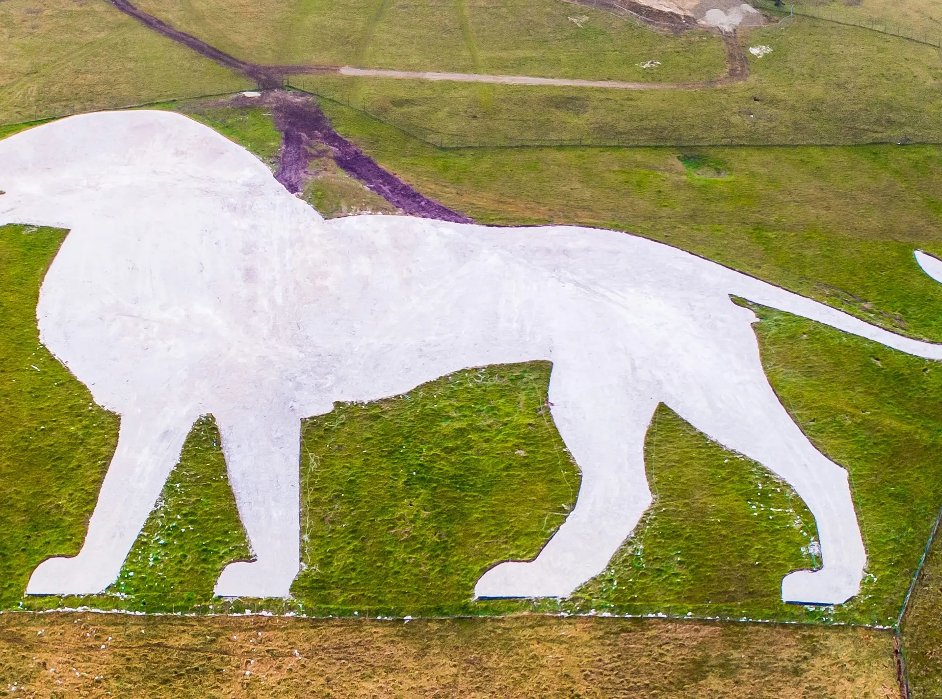 Whipsnade White Lion
