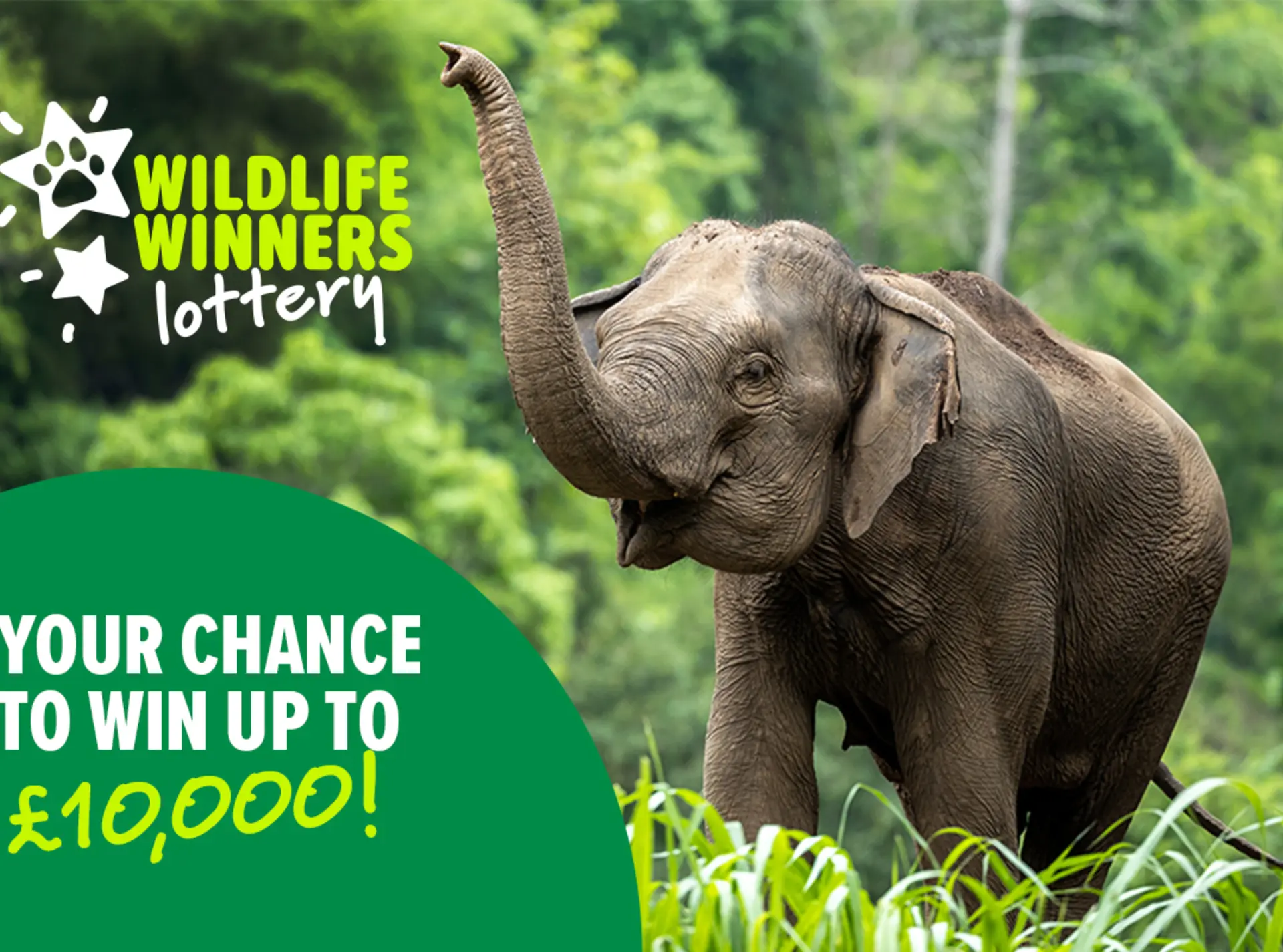ZSL's Wildlife Winners Weekly Lottery