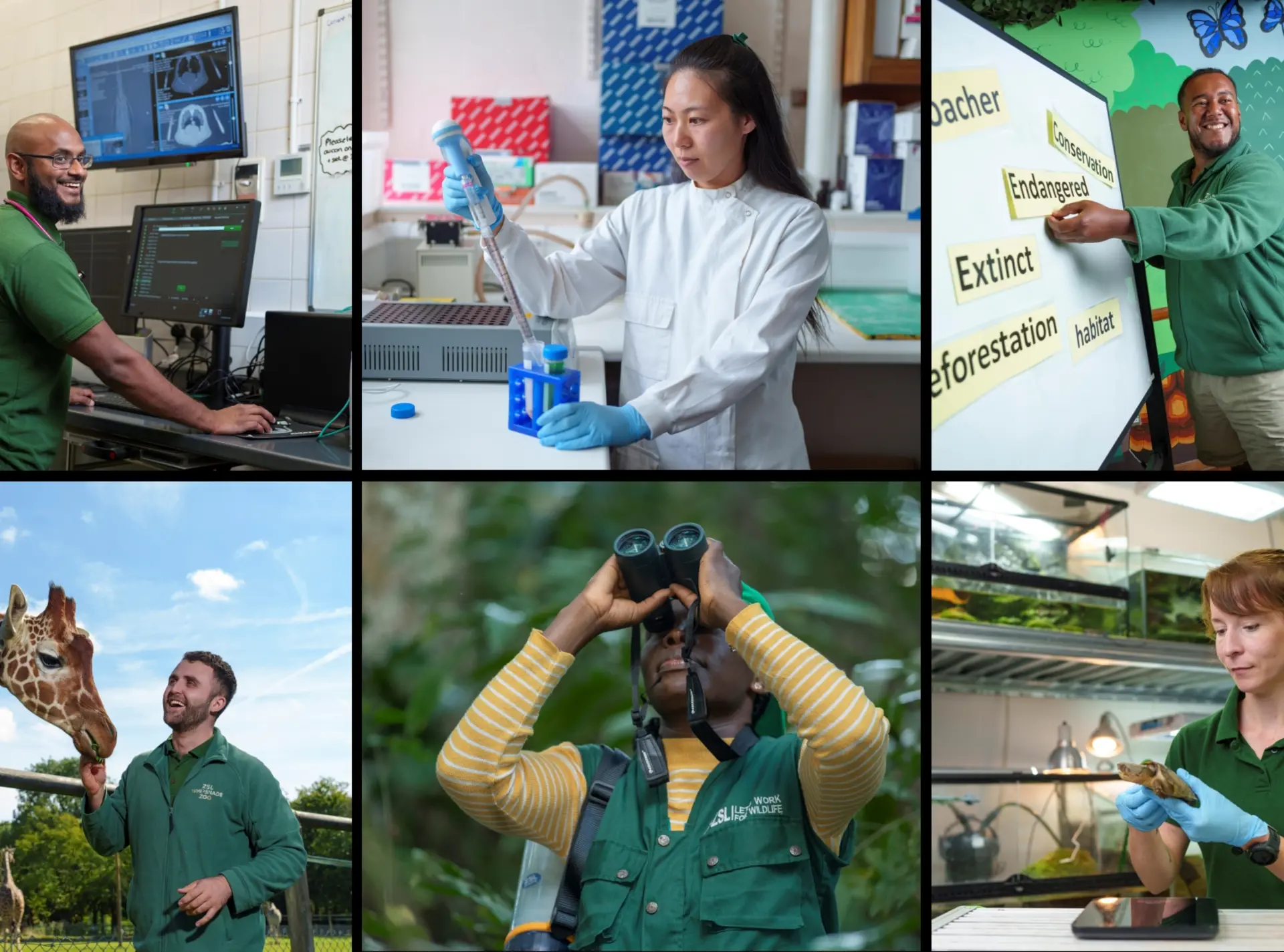Six staff members at ZSL - vet, field conservationist, reptile keeper, giraffe keeper, scientist and educator