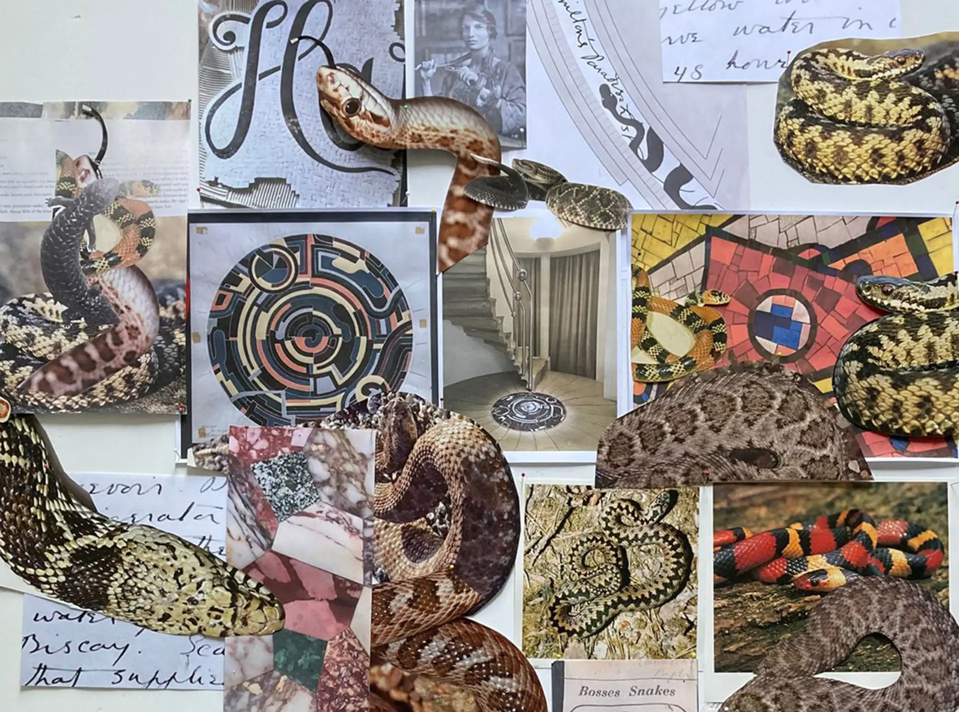 A mosaic mood board featuring lots of snake images